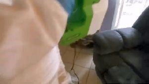 Outdoor Disinfecting Services Victorville Ca