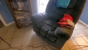 Outdoor Disinfecting Services Winchester Ca