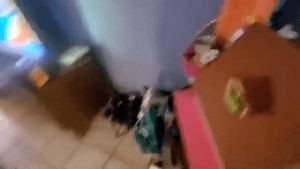 Professional Disinfecting Services La Canada Flintridge Ca