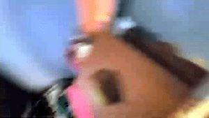 Professional Disinfecting Services Lakewood Ca