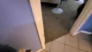 Professional Disinfecting Services Lawndale Ca