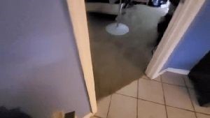 Professional Disinfecting Services Lomita Ca