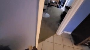 Professional Disinfecting Services Malibu Ca