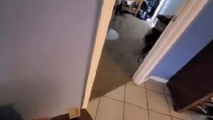 Professional Disinfecting Services Monrovia Ca