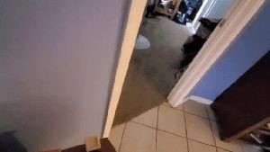 Professional Disinfecting Services Montebello Ca