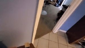 Professional Disinfecting Services Monterey Park Ca