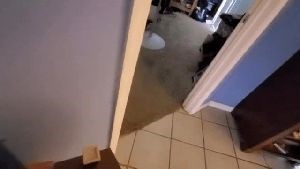 Professional Disinfecting Services Norwalk Ca