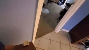 Professional Disinfecting Services Palmdale Ca