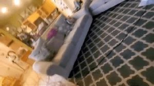 Professional Disinfecting Services Temple City Ca