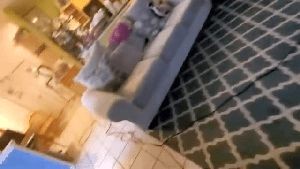 Professional Disinfecting Services Torrance Ca