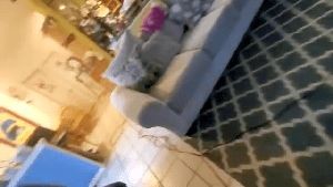 Professional Disinfecting Services Vernon Ca