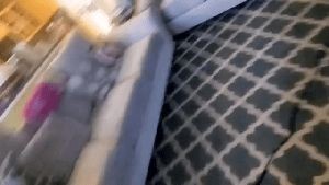 Professional Disinfecting Services Brea Ca