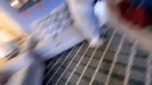 Professional Disinfecting Services Capistrano Beach Ca