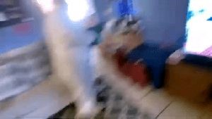 Professional Disinfecting Services Costa Mesa Ca