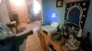 Professional Disinfecting Services Seal Beach Ca