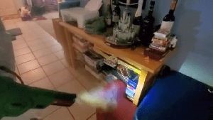 Professional Disinfecting Services Forest Falls Ca