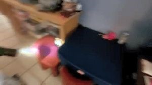 Professional Disinfecting Services Joshua Tree Ca