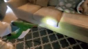 Residential Cleaning Service Hawaiian Gardens Ca