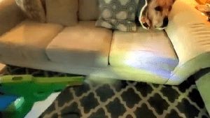 Residential Cleaning Service Hermosa Beach Ca