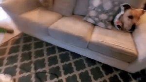 Residential Cleaning Service Inglewood Ca