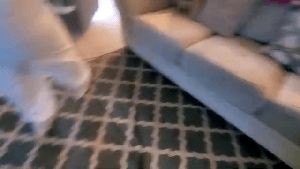 Residential Cleaning Service La Canada Flintridge Ca