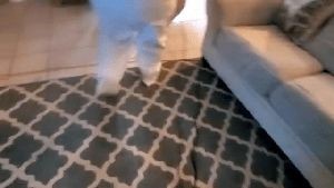 Residential Cleaning Service La Mirada Ca