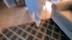 Residential Cleaning Service La Puente Ca