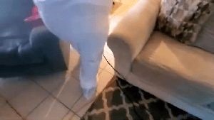 Residential Cleaning Service Montebello Ca