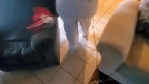 Residential Cleaning Service Palmdale Ca