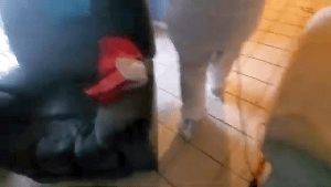 Residential Cleaning Service Paramount Ca