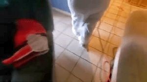 Residential Cleaning Service Pico Rivera Ca