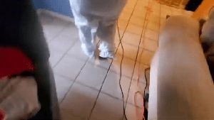 Residential Cleaning Service Pomona Ca