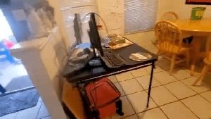 Electrostatic Services