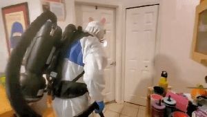 Electrostatic Services West Hollywood Ca