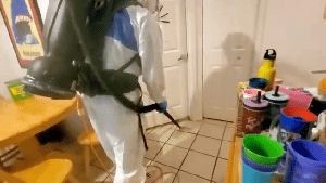 Electrostatic Services La Palma Ca