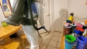 Electrostatic Services Laguna Beach Ca