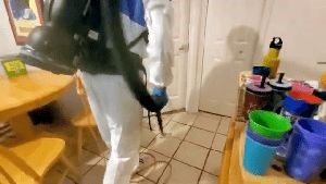 Electrostatic Services Lake Forest Ca