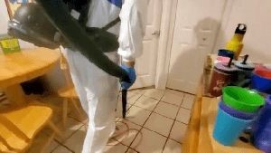 Electrostatic Services Los Alamitos Ca