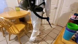 Electrostatic Services Westminster Ca