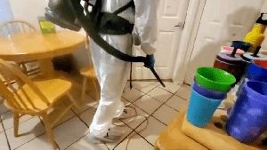 Electrostatic Services Chino Ca