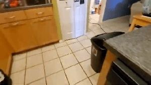 Electrostatic Services Victorville Ca