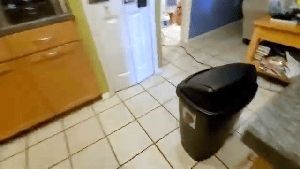 Electrostatic Services Wrightwood Ca