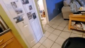 Electrostatic Services Banning Ca