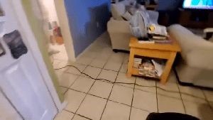 Electrostatic Services Calimesa Ca