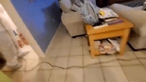 Electrostatic Services Corona Ca