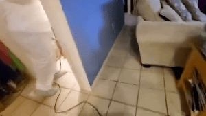 Electrostatic Services Lake Elsinore Ca