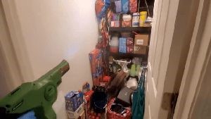 Fogging Services Artesia Ca