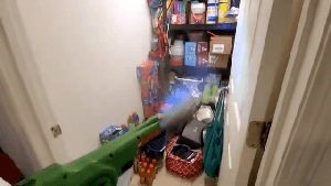 Fogging Services Bell Ca