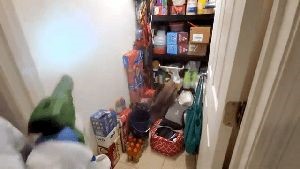 Fogging Services Burbank Ca