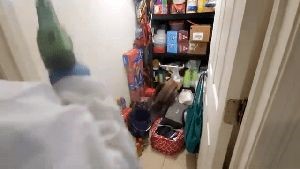 Fogging Services Calabasas Ca